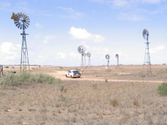 Windmills at Penong