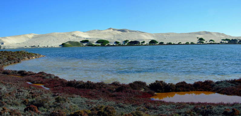 Lake MacDonnell not far from the Confluence