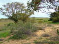 #5: Looking West