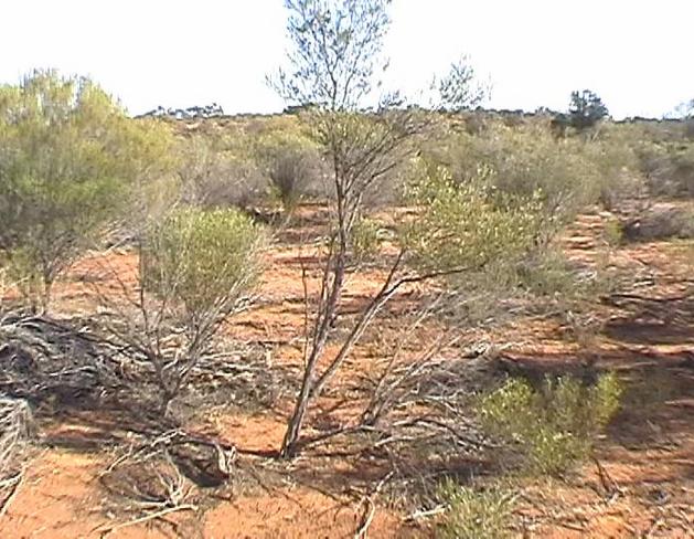 General view of the confluence