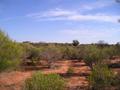 #2: View north