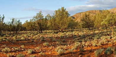 #1: General View of the Confluence Area