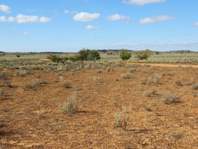 Looking East from the Confluence