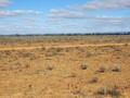 #2: Looking South from the Confluence