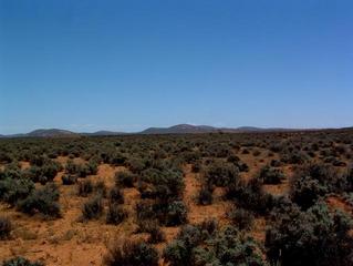 #1: Confluence is in the foreground