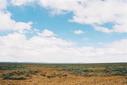 #4: East from Confluence (Thackaringa Hills in background)