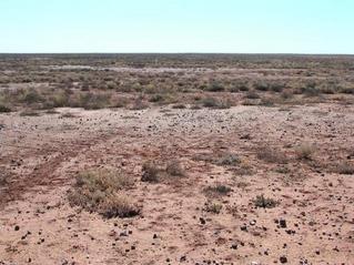 #1: View of the confluence area, showing tracks of previous visitor(s)