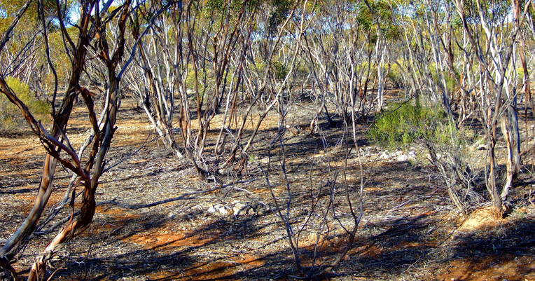 General View of Confluence Area