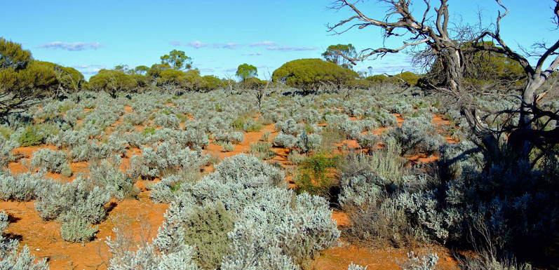 General View of Confluence Area