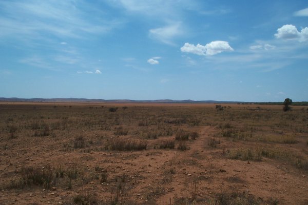 Looking North from confluence