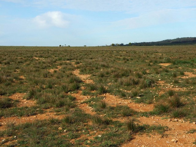 Looking South from the Confluence