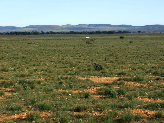 Looking West from the Confluence