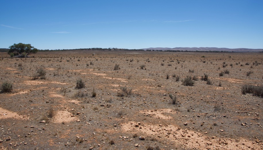 View West (towards a narrow farm road, about 400 m away)