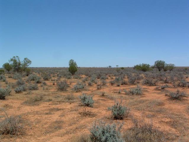View to the east