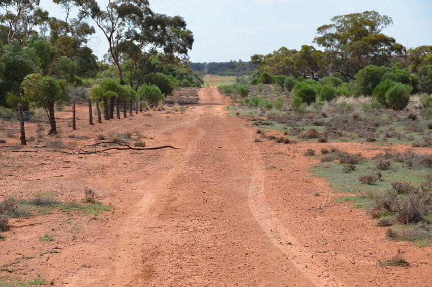 Looking south down the State Border fence