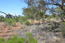 #5: Looking East from the Confluence