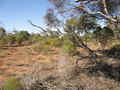 #4: looking East