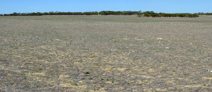 Panorama Shot from Confluence