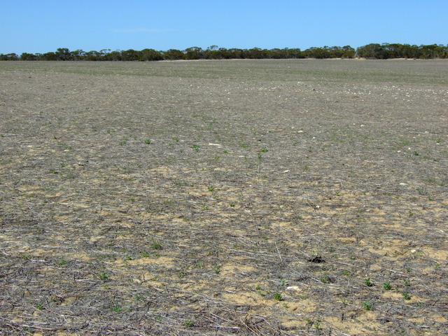 General View Looking at Confluence