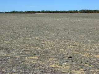 #1: General View Looking at Confluence