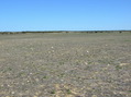 #2: Looking North from the Confluence