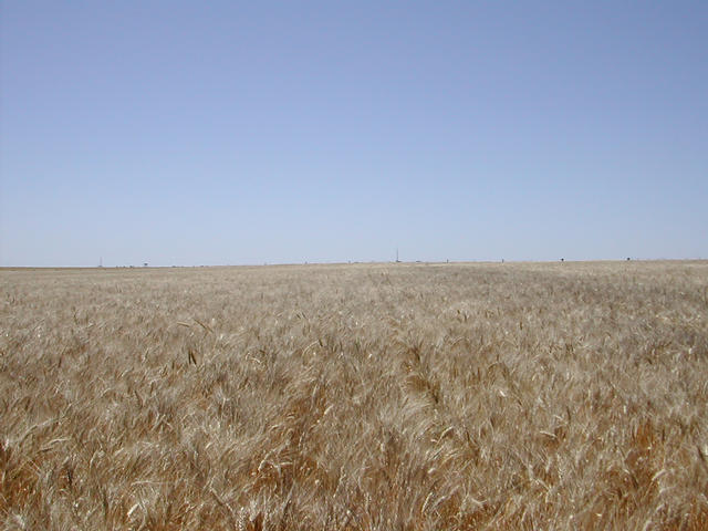 North view from confluence