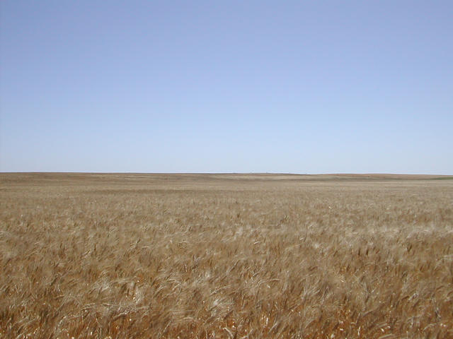 West view of confluence