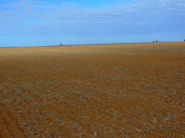 General View of the Confluence area.The Confluence is 10 mentres in a South Westerly Direction. note the Paskerville Silos in the distance