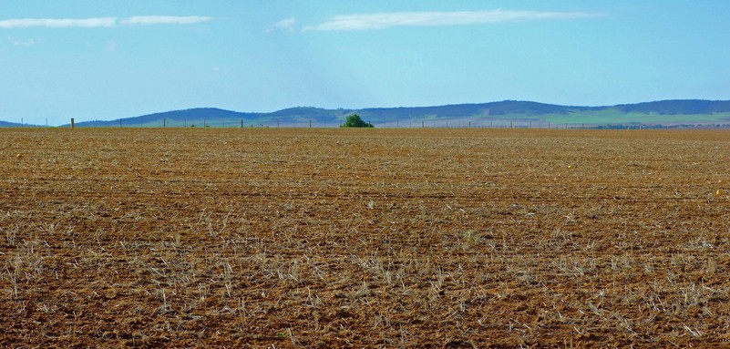 Zoomed in View Looking East with the Hummock Range in the Background