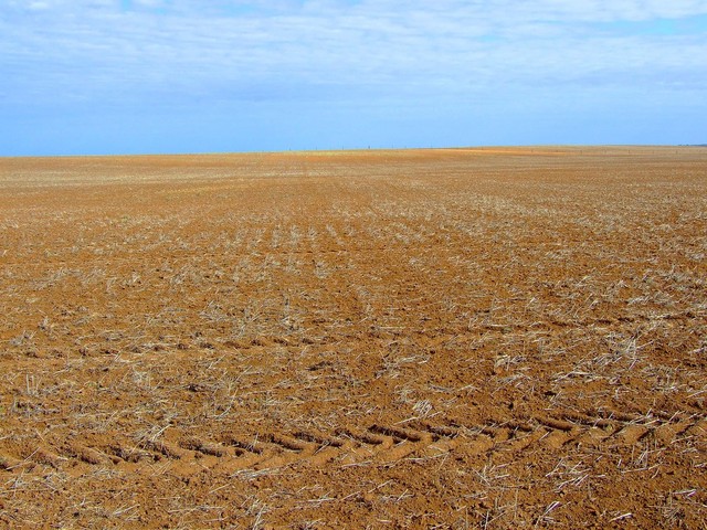 Looking West from the Confluence