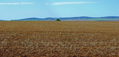 #1: Zoomed in View Looking East with the Hummock Range in the Background