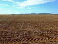 #4: Looking East from the Confluence