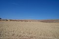 #4: Looking East