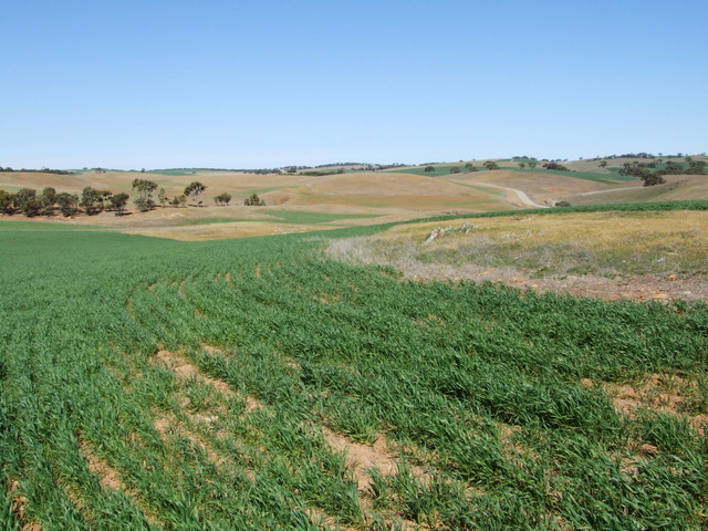 Looking South from the Confluence