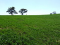 #2: Looking North from the Confluence