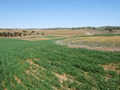 #3: Looking South from the Confluence