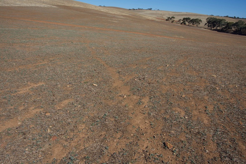 The confluence point lies among rolling hills in dry farmland