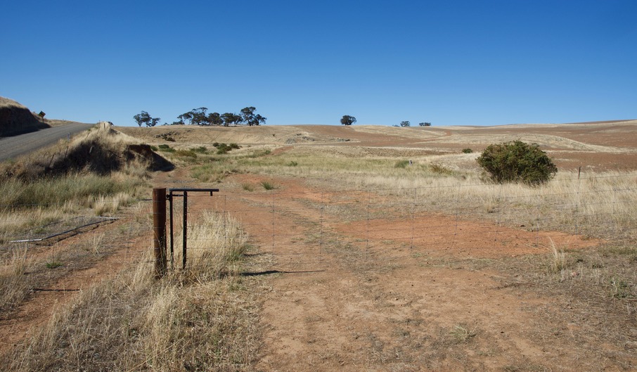 Looking towards the point - on the top of the ridge, 380 m away