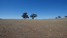 #3: View North