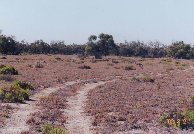 General view of the area