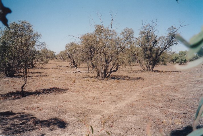 South