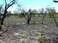 #2: Looking North from the Confluence