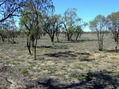 #4: Looking East from the Confluence