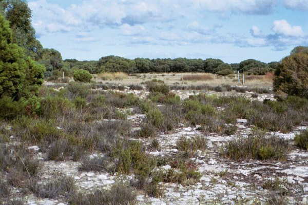 Another view from the confluence point.  (The survey marker in photo 2 is visible in the background)