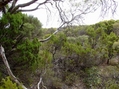 #5: Looking West from the Confluence