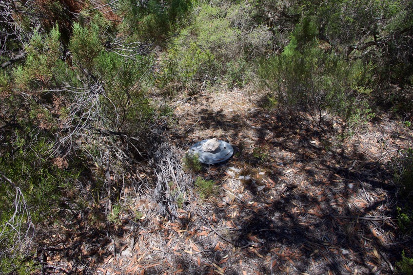 The confluence point lies in scrub near an old road bed