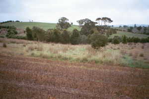 #1: Looking north-west from the confluence point