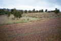 #2: Looking north from the confluence point