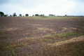 #3: Looking south from the confluence point.  (The trees in the background mark Military Road.)