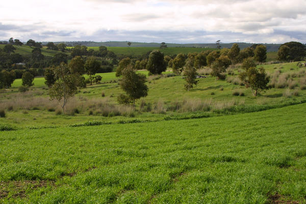 View N from confluence.